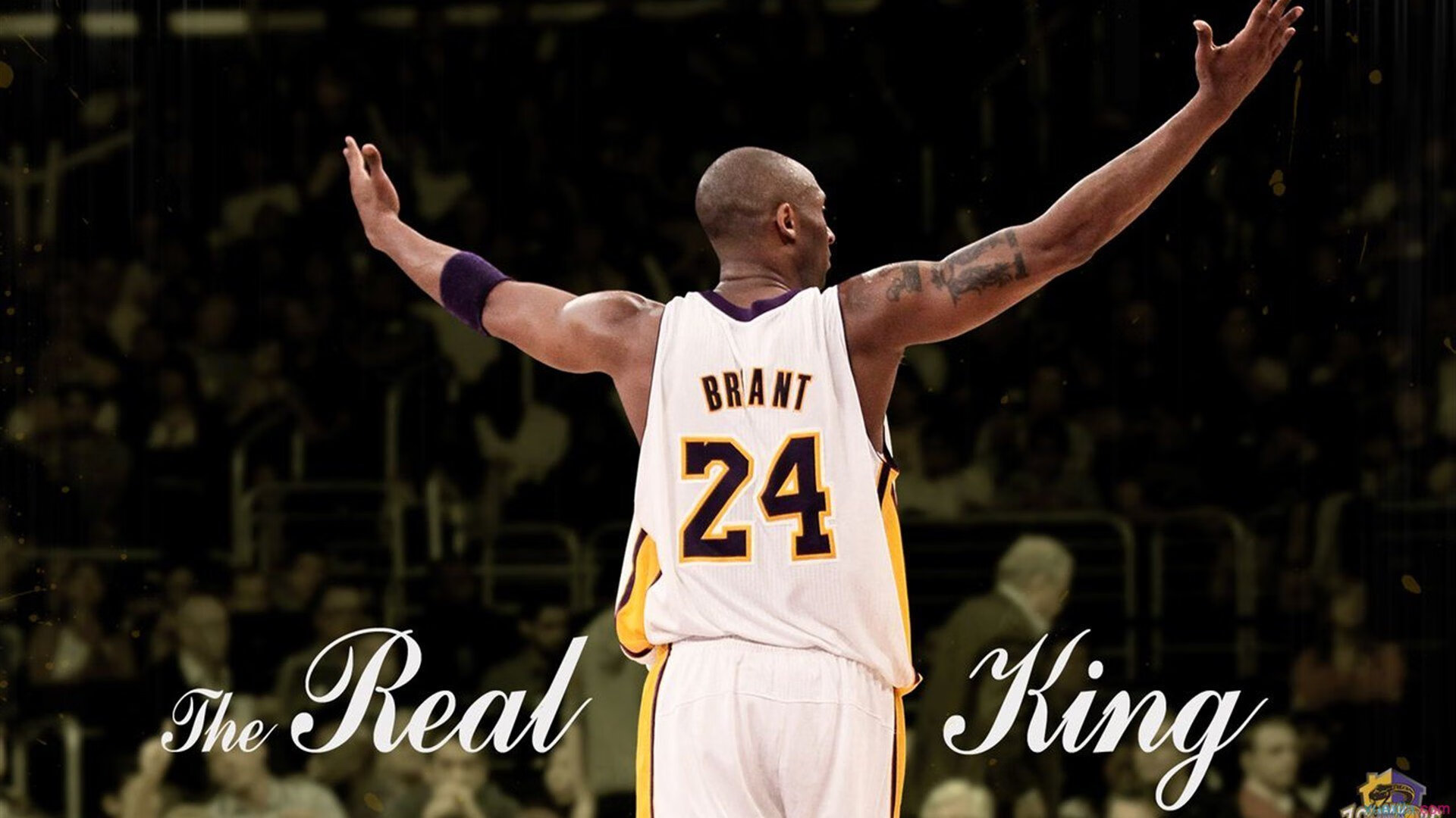 篮网粉碎广厦队，锡安成为胜负手